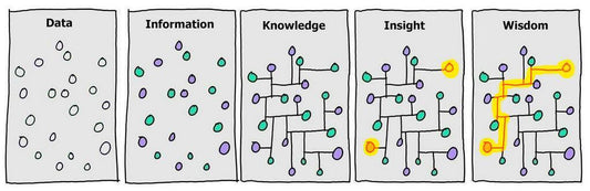Bridging the Gap from Data to Wisdom: How AI and Humans should Collaborate